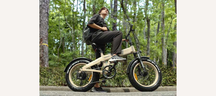 HIMO【HIMO ZB20】折りたたみ式電動ファットバイク